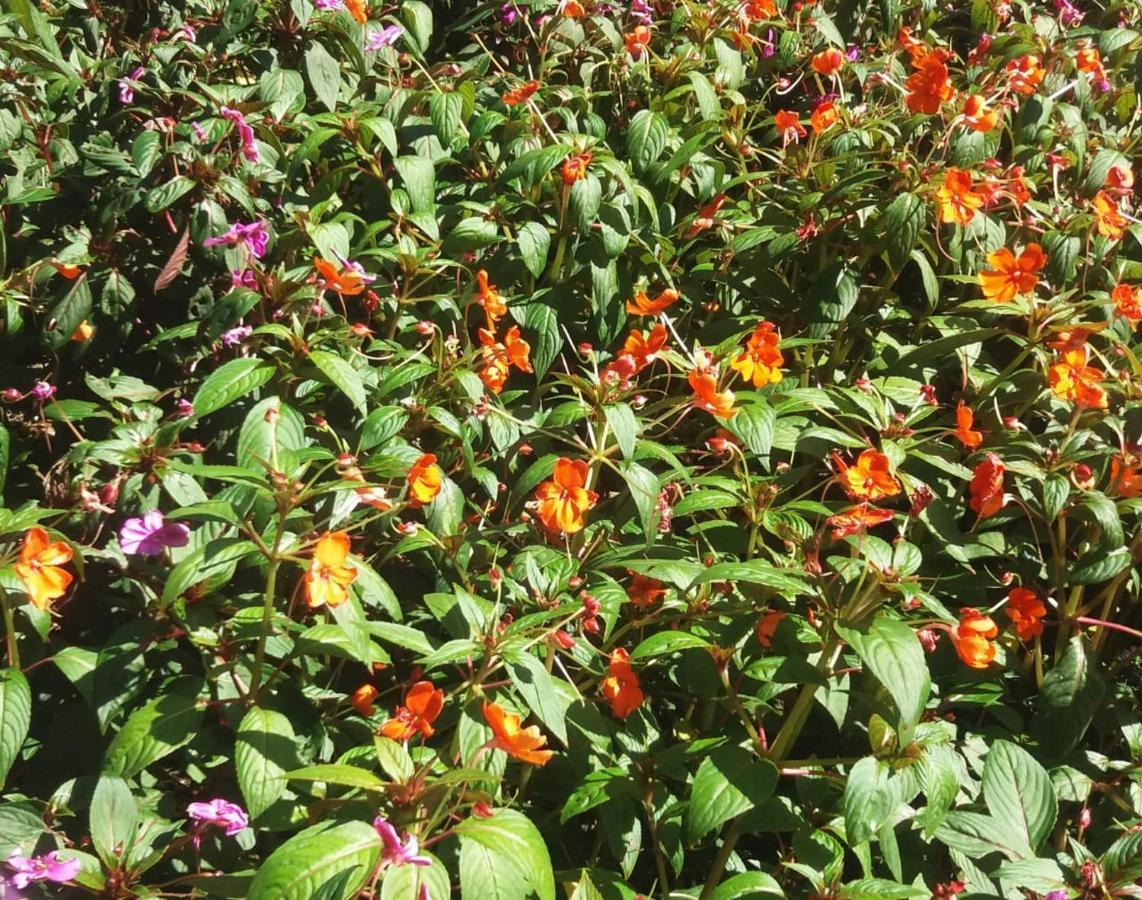 El Valle de Anton El Valle Resort & Spa - Aguas Termales מראה חיצוני תמונה