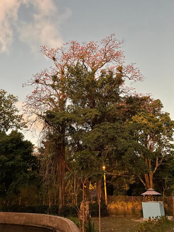 El Valle de Anton El Valle Resort & Spa - Aguas Termales מראה חיצוני תמונה