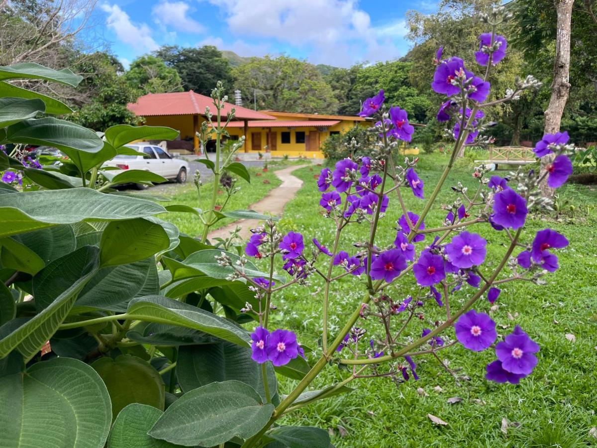 El Valle de Anton El Valle Resort & Spa - Aguas Termales מראה חיצוני תמונה